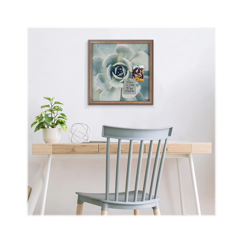 Kate & Laurel F2 Images Succulent 7 Cork Bulletin Board, Gold Frame, 1' x 1' (222048)