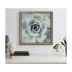 Kate & Laurel F2 Images Succulent 7 Cork Bulletin Board, Gold Frame, 1' x 1' (222048)