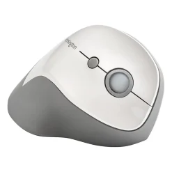 Kensington Pro Fit K75520WW Wireless Optical Mouse, Gray