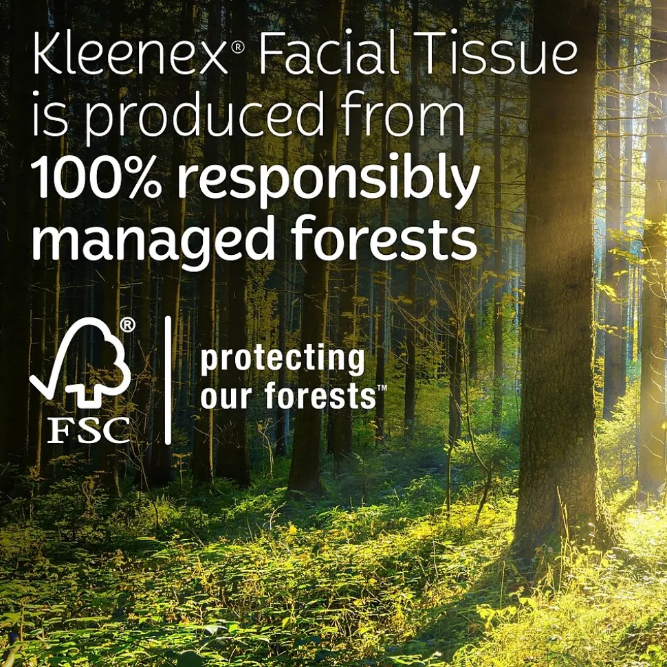 Kleenex Standard Facial Tissue, 2-Ply, 160 Sheets/Box, 3 Boxes/Pack (54303)