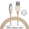 LAX Apple MFi Certified Lightning to USB Cable for Charge Sync 10ft - Gold