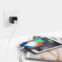 LAX Dual USB Port Wall Charger 2.4A for Smartphones, Black (LAX2PORTWALLWHT)