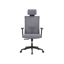 La-Z-Boy Mesh Back Molded Foam Computer and Desk Chair, Gray (51448)