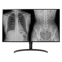 LG 31.5" 4K Ultra HD LED Monitor, Black (32HL512D-B)