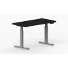 LifeFlo Ergonomics Height Adjustable Desk, 36" W x 24" D x 1 1/8" Thick, Black (LFO-3624-E2-BK)