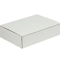 Literature Mailers, 10" x 9" x 3", White, 50/Bundle (ML1093)