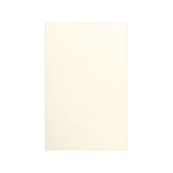 LUX 105 lb. Cardstock Paper, 11" x 17", Champagne Metallic, 1000 Sheets/Pack (1117-C-CHAM1000)