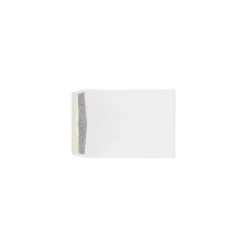 LUX 9 x 12 Kraft Open End Envelopes 250/Box, 28lb. White w/ Security Tint (WS-4894-ST-250)
