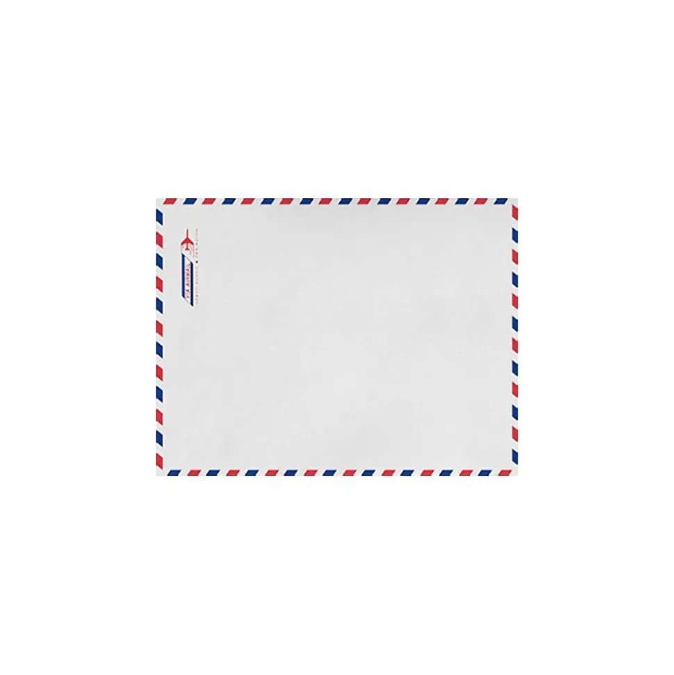 LUX 6 x 9 Kraft Open End Envelopes (6 x 9) - Airmail - Pack of 50 (2444794)