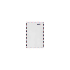 LUX 9 x 12 Open End Envelopes (9 x 12) - Airmail - Pack of 50 (2444749)