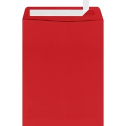 LUX 9" x 12" Open End Window Envelopes, Ruby Red (LUX-1590-18-250)
