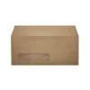 LUX Moistenable Glue #10 Window Envelope, 4 1/2" x 9 1/2", Grocery Bag Brown, 250/Box (4860-WGB-250)
