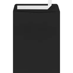 LUX Open End Window Envelopes 9" x 12", Midnight Black, 500/Box (LUX-1590-B-500)