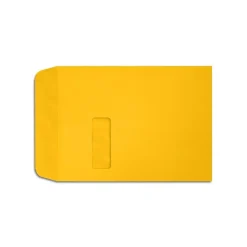 LUX Open End Window Envelopes 9" x 12", Sunflower Yellow