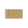 LUX Open End Window Envelopes 6" x 11.5", Nude Tan (61112-GB-500)