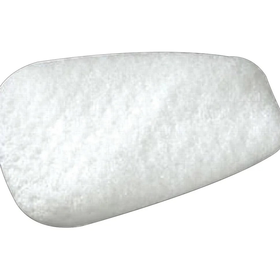 3M™ Particulate Filter, N95, 10/Box