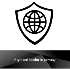 3M Privacy Filter for 17