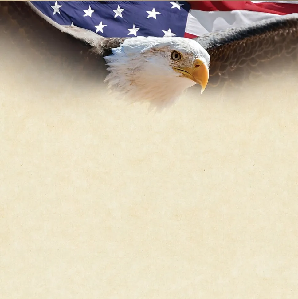 Masterpiece Studios Great Papers!® Flying Eagle with Gold Foil Certificate, 8.5"H x 11"W, 15 count (2017042)