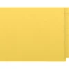 Medical Arts Press Kardex Match Recycled Reinforced End Tab File Folder, Straight Cut, Letter Size, Yellow, 100/Box (53057YW)