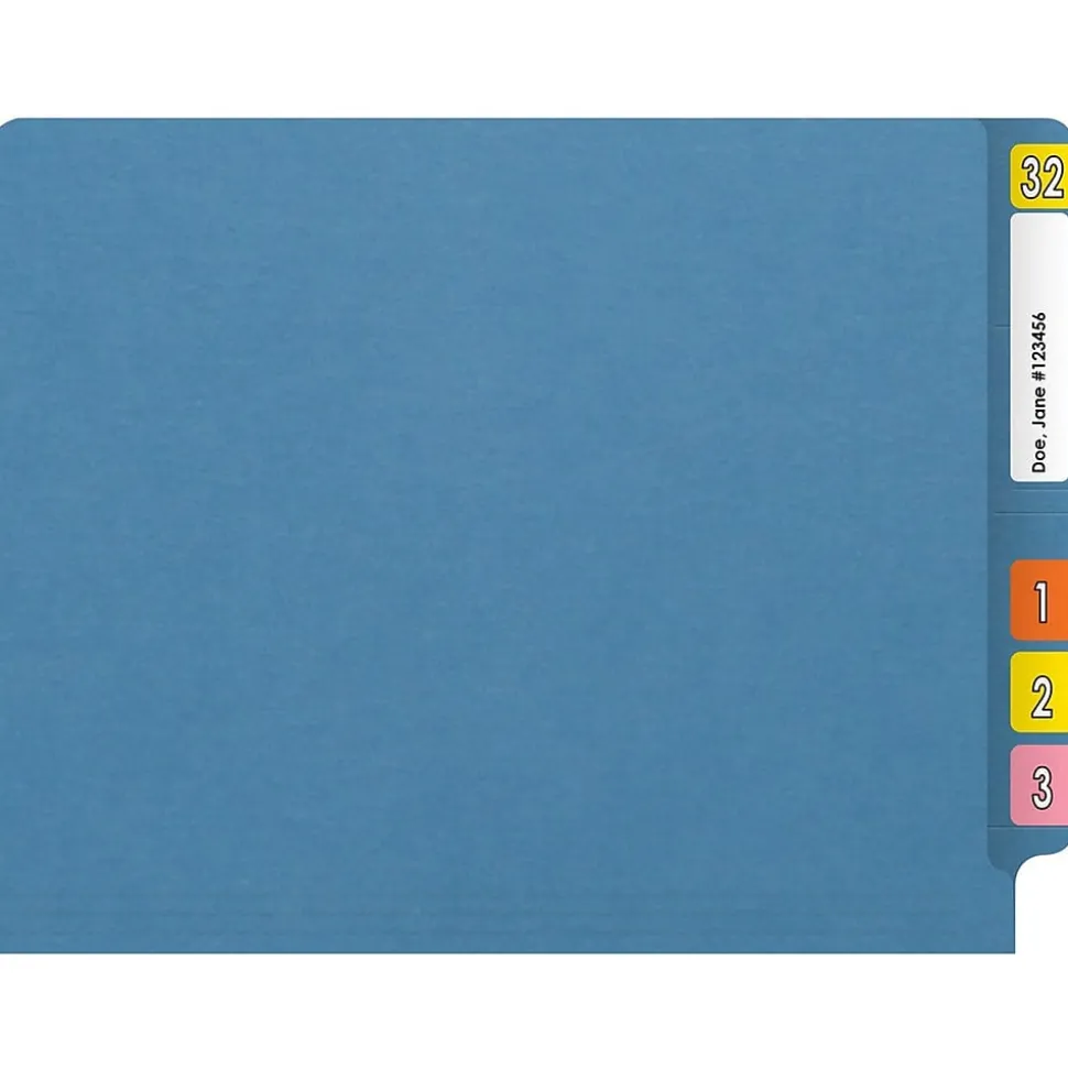 Medical Arts Press Reinforced End Tab File Folder, Straight Cut, Letter-Size, Blue, 250/Carton (S-01502-BLU-B)