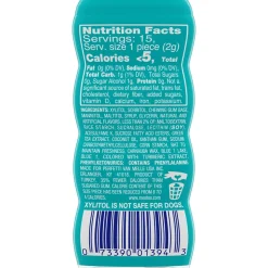 Mentos Pure Fresh Sugar Free Gum, Wintergreen, 10/Box (VAM1463621)