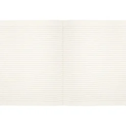 Moleskine Limited Edition Harry Potter Wingardium Leviosa Journal, 7.5