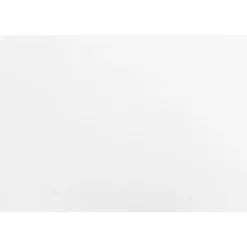 Monarch Specialties Inc. 60