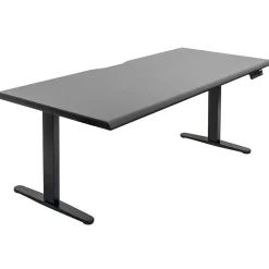 Mount-It! Dual Motor 72"W Electric Adjustable Standing Desk, Black (MI-18122)