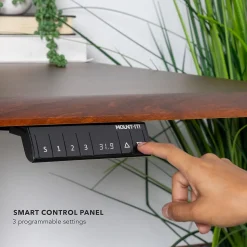 Mount-It! Dual Motor 72