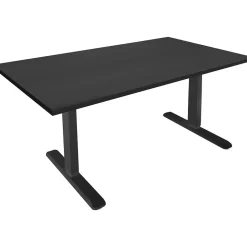 Mount-It! 55"W Electric Rectangular Adjustable Standing Desk, Black (MI-18087)