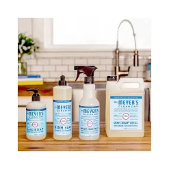 Mrs. Meyer's Liquid Hand Soap, Rain Water Scent (308451)