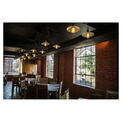 Newhouse Lighting ST64 Vintage Incandescent Bulb, 60W, 6-Pack (ST64INC-6)