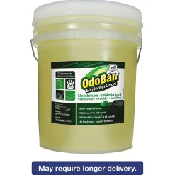 OdoBan Professional Series Deodorizer Disinfectant, 5gal Pail, Eucalyptus Scent (ODO9110625G)