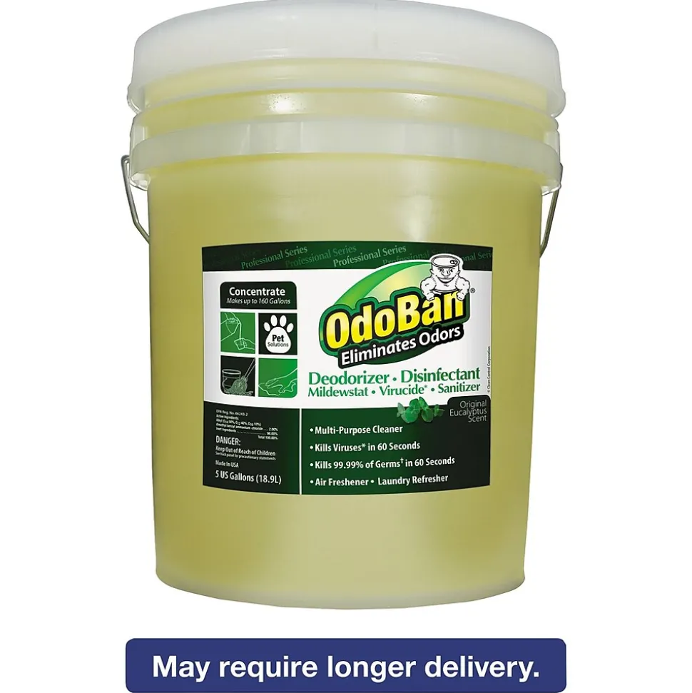 OdoBan Professional Series Deodorizer Disinfectant, 5gal Pail, Eucalyptus Scent (ODO9110625G)
