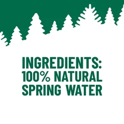 ORIGIN, 100% Natural Spring Water, 900 mL, Recycled Plastic Bottle (12 Count)