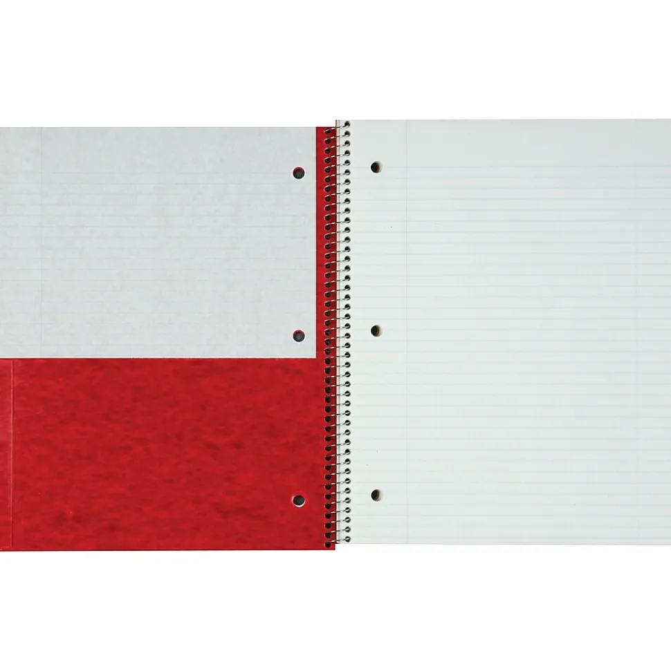 Oxford Earthwise 1-Subject Notebooks, 9" x 11", College Ruled, 100 Sheets, Each (25-419R)