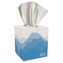 Pacific Blue Select Facial Tissue, 2-ply, 100 Tissues/Box, 36 Boxes/Pack (46200)