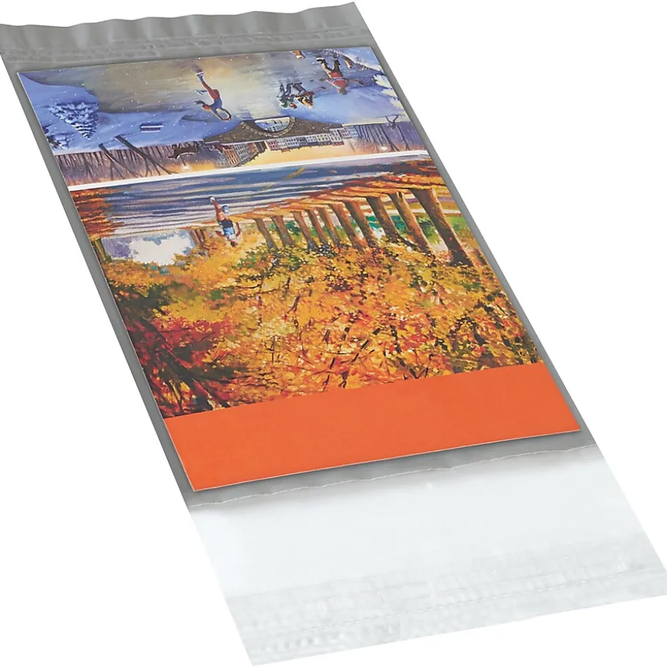 Partners Brand Clear View Poly Mailers, 5" x 7", 100/Case (CV57)