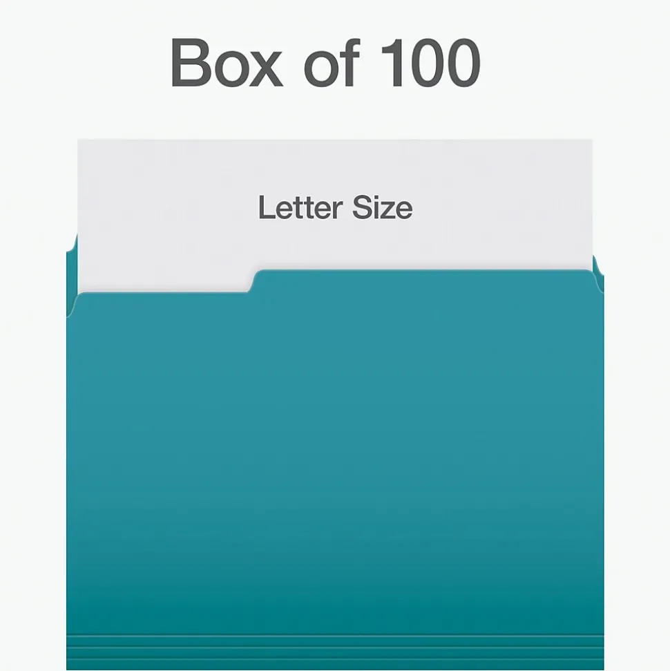 Pendaflex Heavy Duty File Folder, 1/3-Cut Tab, Letter Size, 100/Box (1006995)