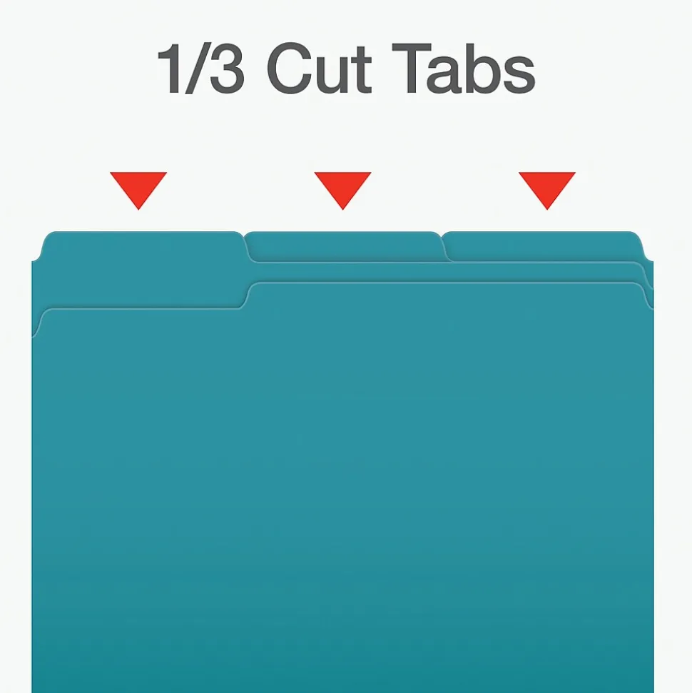 Pendaflex Heavy Duty File Folder, 1/3-Cut Tab, Letter Size, 100/Box (1006995)