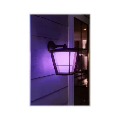 Philips Econic Hue LED Wall Outdoor Light, Glass (1744030V7)