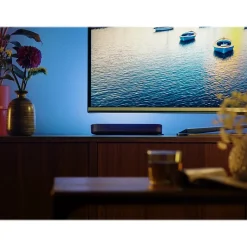 Philips Hue Play Smart 42W Equivalent Light Bar, Black, 2/Pack (7820230U7)