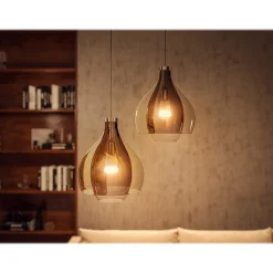 Philips Hue White Light Bulb, A19 2200K-6500K 10.5W E26 (563239)