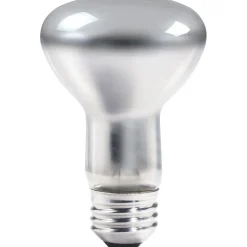 Philips® 45W Incandescent R20 Light Bulb, Medium Screw Base, 12/Pack (203224)