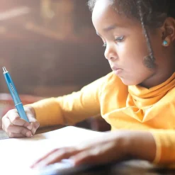 Pilot Dr. Grip Frosted Retractable Ballpoint Pen, Medium Point, Black Ink (36250)