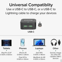 Plugable 40W Dual USB-C Wall Charger, Black (PS-40C2B)