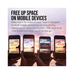 PNY DUO LINK Dual 256GB USB 3.2 Type-C Flash Drive, Silver (P-FDI256DULINKTYC-GE)