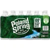 Poland Spring 100% Natural Spring Water, Regular Flavor, 16.9 oz., 24/Carton (12119419)