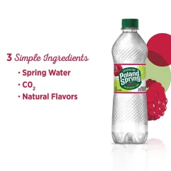 Poland Spring Sparkling Water, Raspberry Lime, 16.9 oz. Bottles, 24/Carton (12349573/122058)