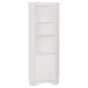Prepac Elite White Tall 1-Door Corner Storage Cabinet (WSCC-0604-1)